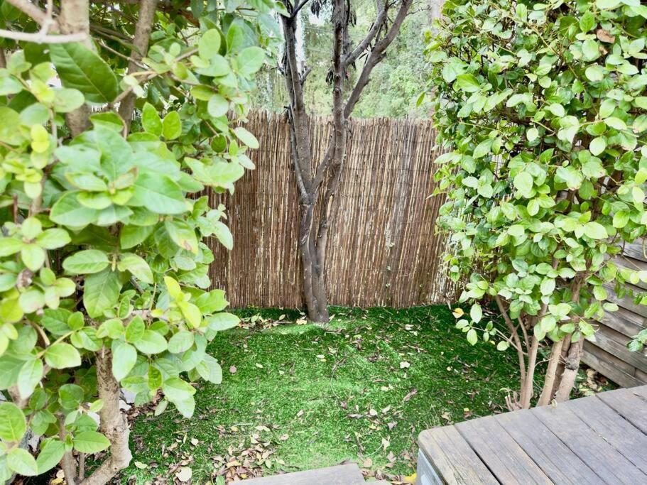 Maison Au Calme 2 Chambres Terrasse Clim Parking Gratuit Montpellier Luaran gambar